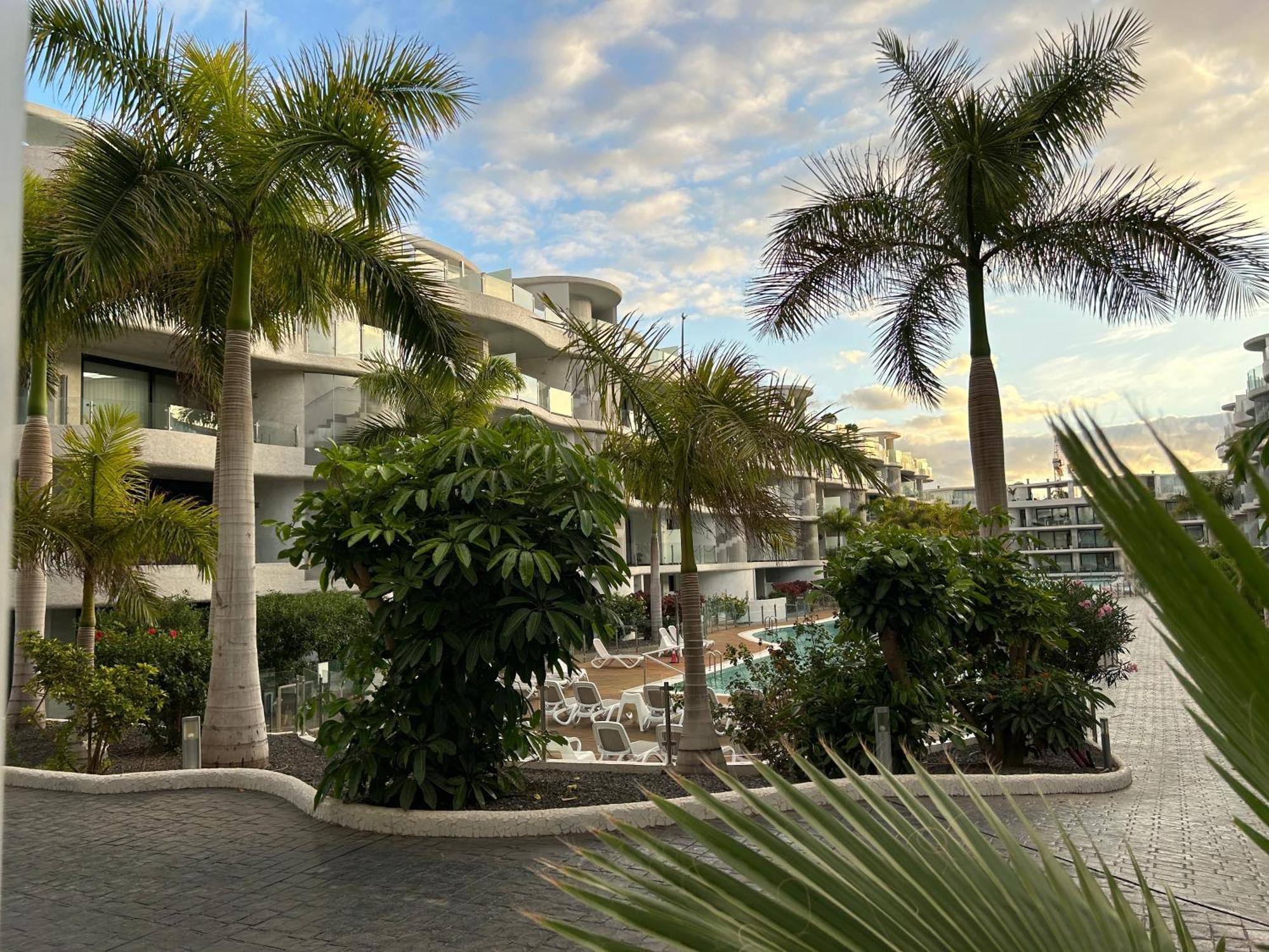 Ville Las Olas Palm-mar Extérieur photo